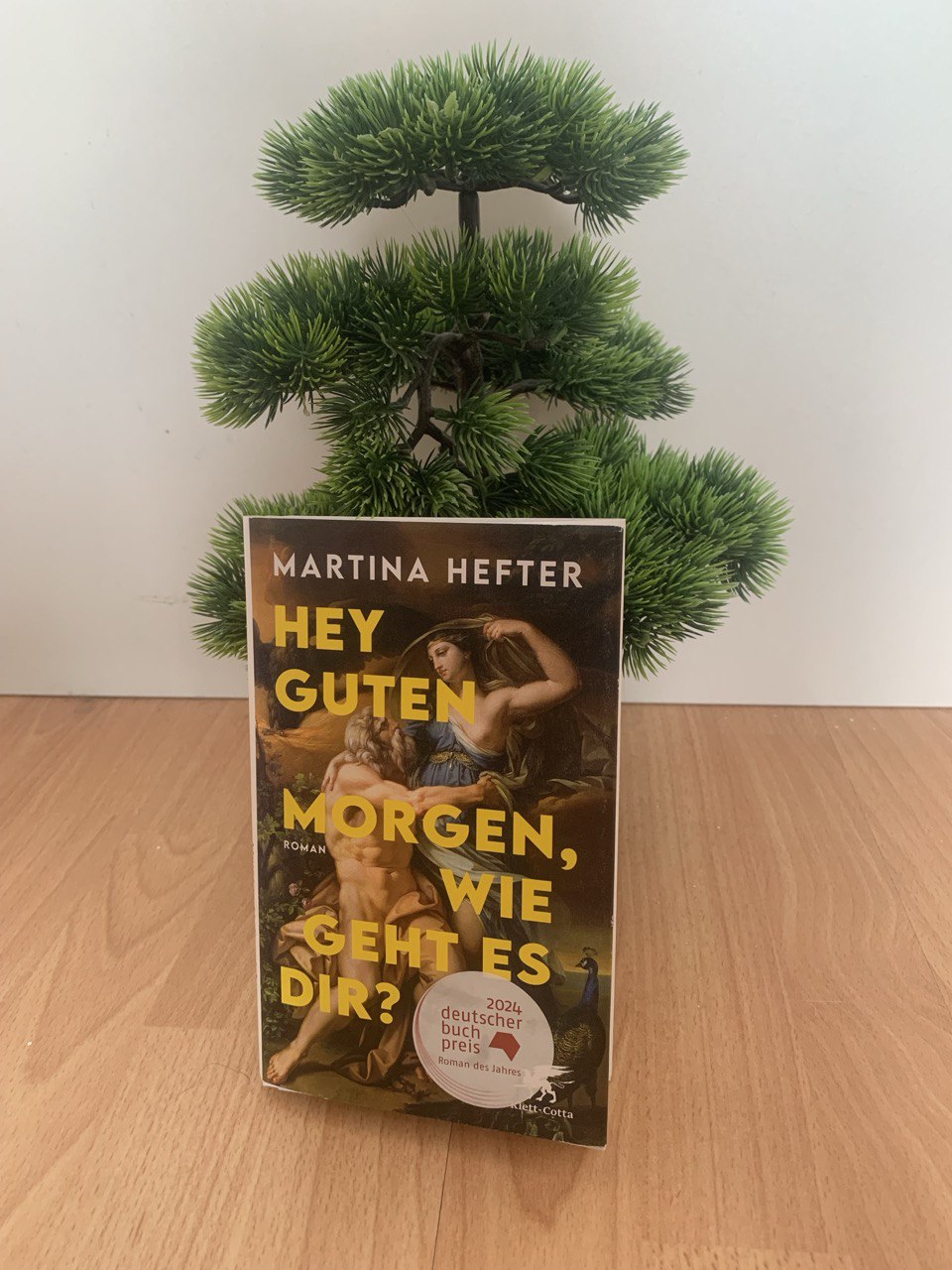 Die Buchrezension: Hey guten Morgen, wie geht es dir?